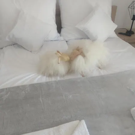 Dolina Dunajca 招待所 Tylmanowa