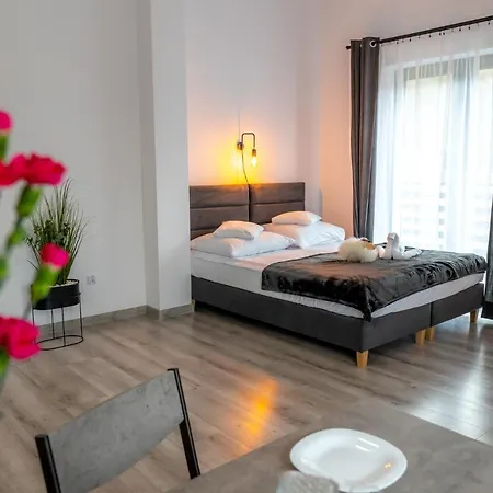 Dolina Dunajca 招待所 3*