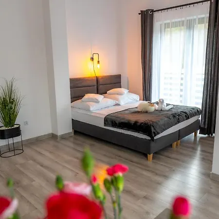 Dolina Dunajca Guest house *