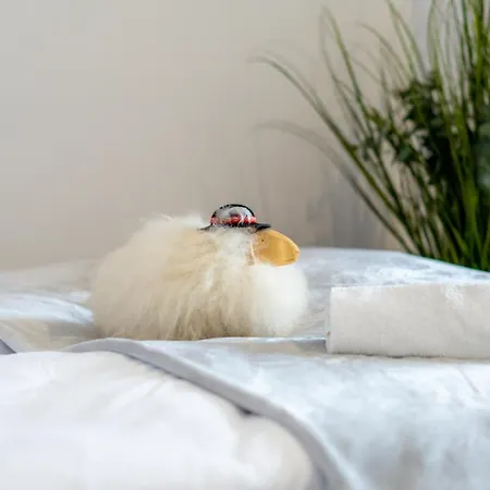 Dolina Dunajca 招待所