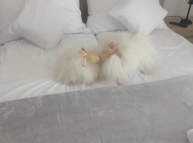 Dolina Dunajca Pensionat Tylmanowa